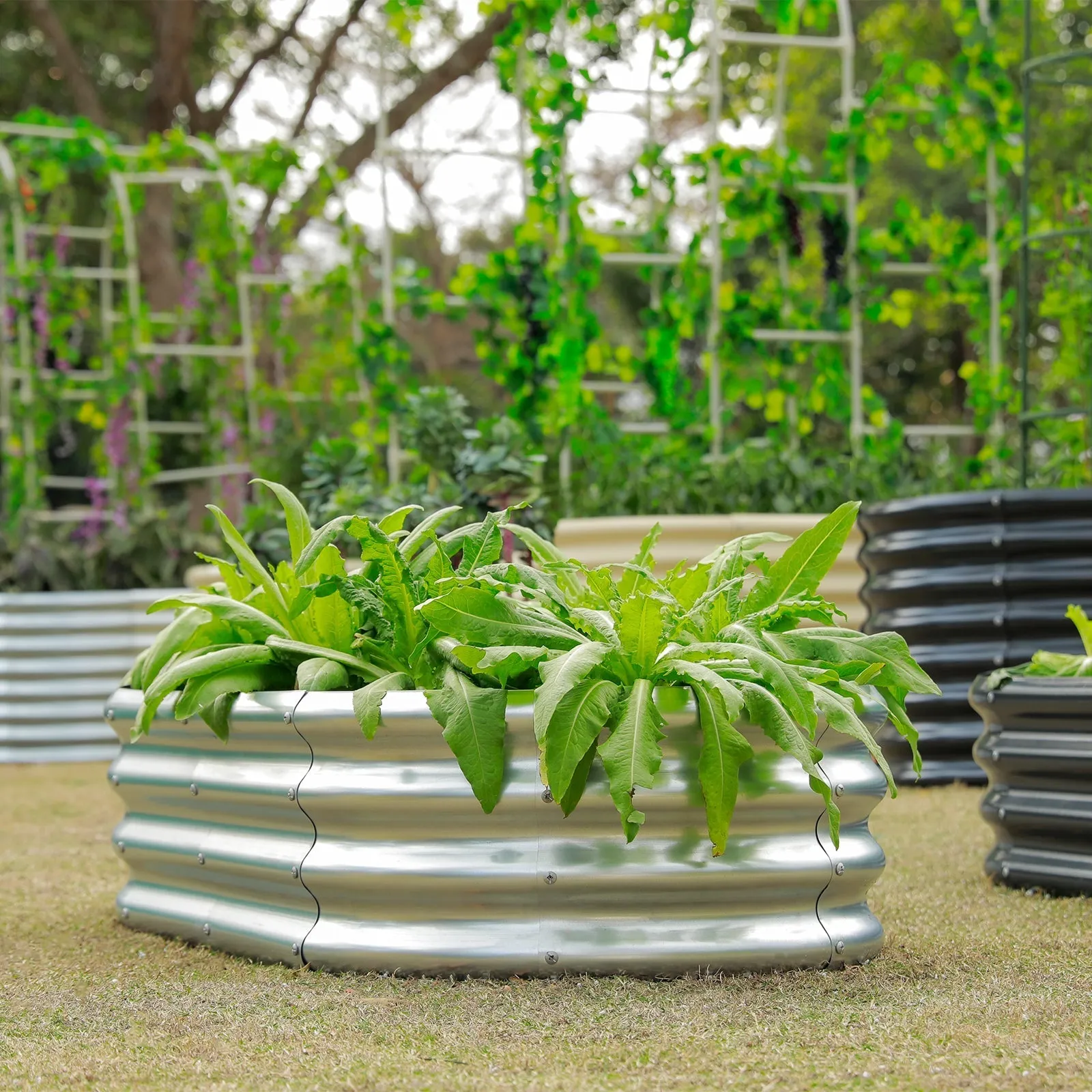 10-Pack Oval 6x3x1ft Galvanized Raised Garden Bed