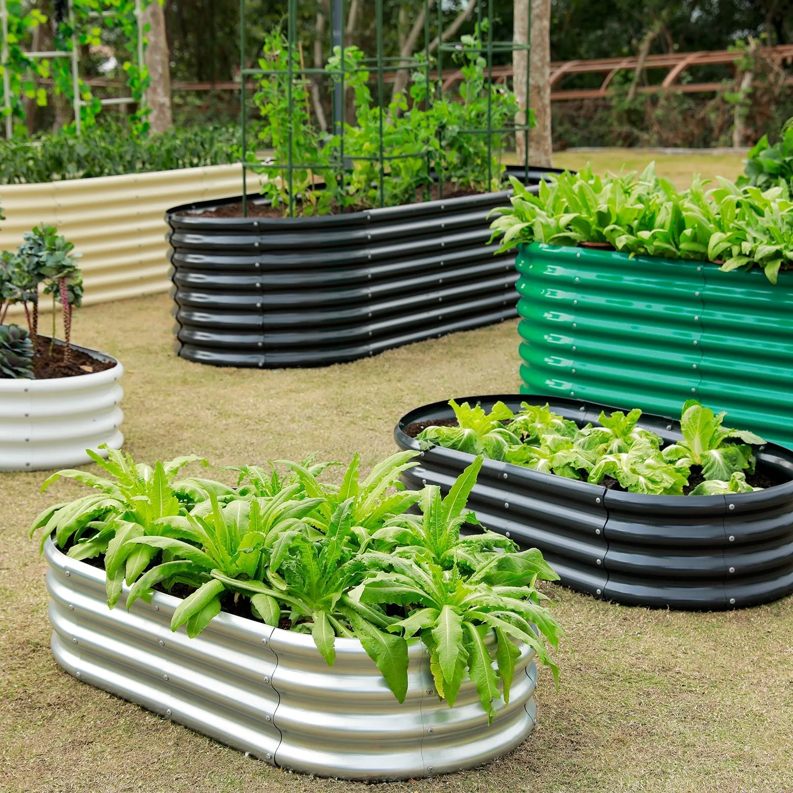 10-Pack Oval 8x4x1ft Galvanized Raised Garden Bed