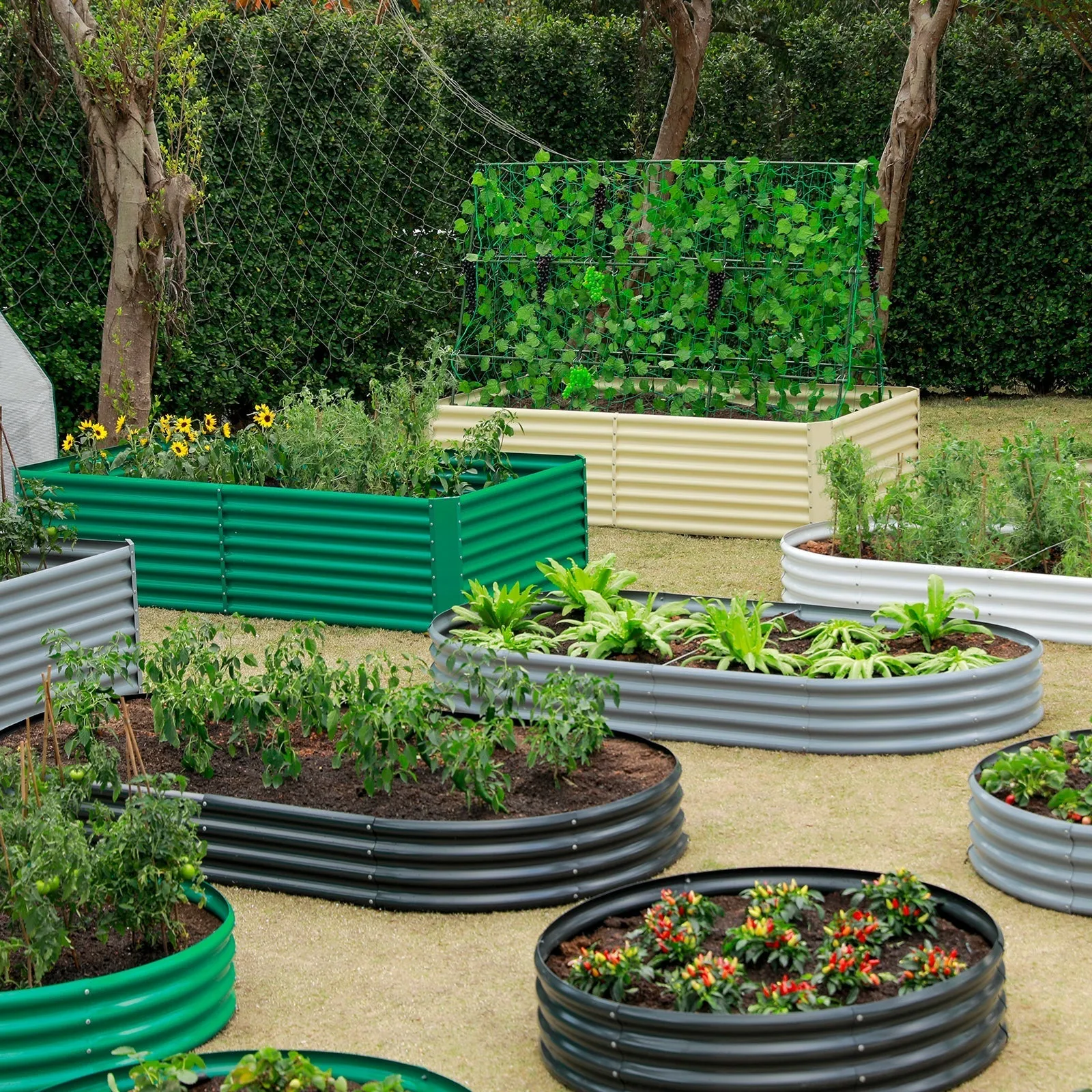 10-Pack Oval 8x4x1ft Galvanized Raised Garden Bed