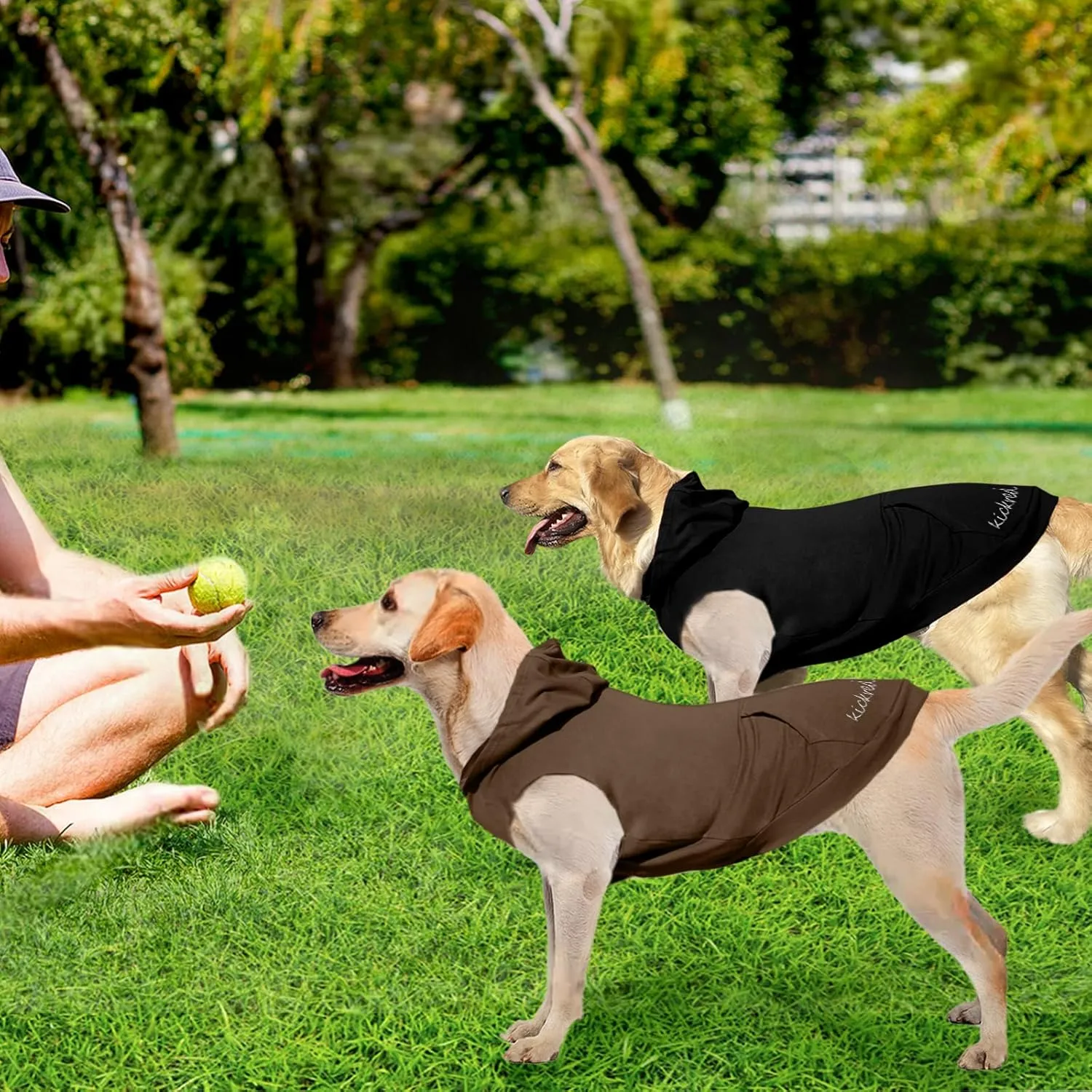 2-Piece Basic Dog Hoodie & Sweatshirt, Soft & Comfy, Superior Comfort & Fit, Dog Security Jumpsuit Sweater with Leash Hole & Pocket, Black & Brown/Sleeveless (XX-Large)