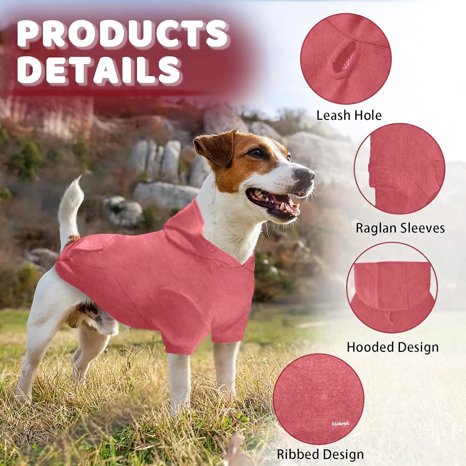 2 Pieces Basic Cotton Dog Hoodie Sweater, Soft Pet Clothes Dog Sweatshirts, Dog Outfit Coat Pullover with Pocket and Leash Hole for Small Medium Large Dogs, Coral Red & Sailor Blue (Medium)