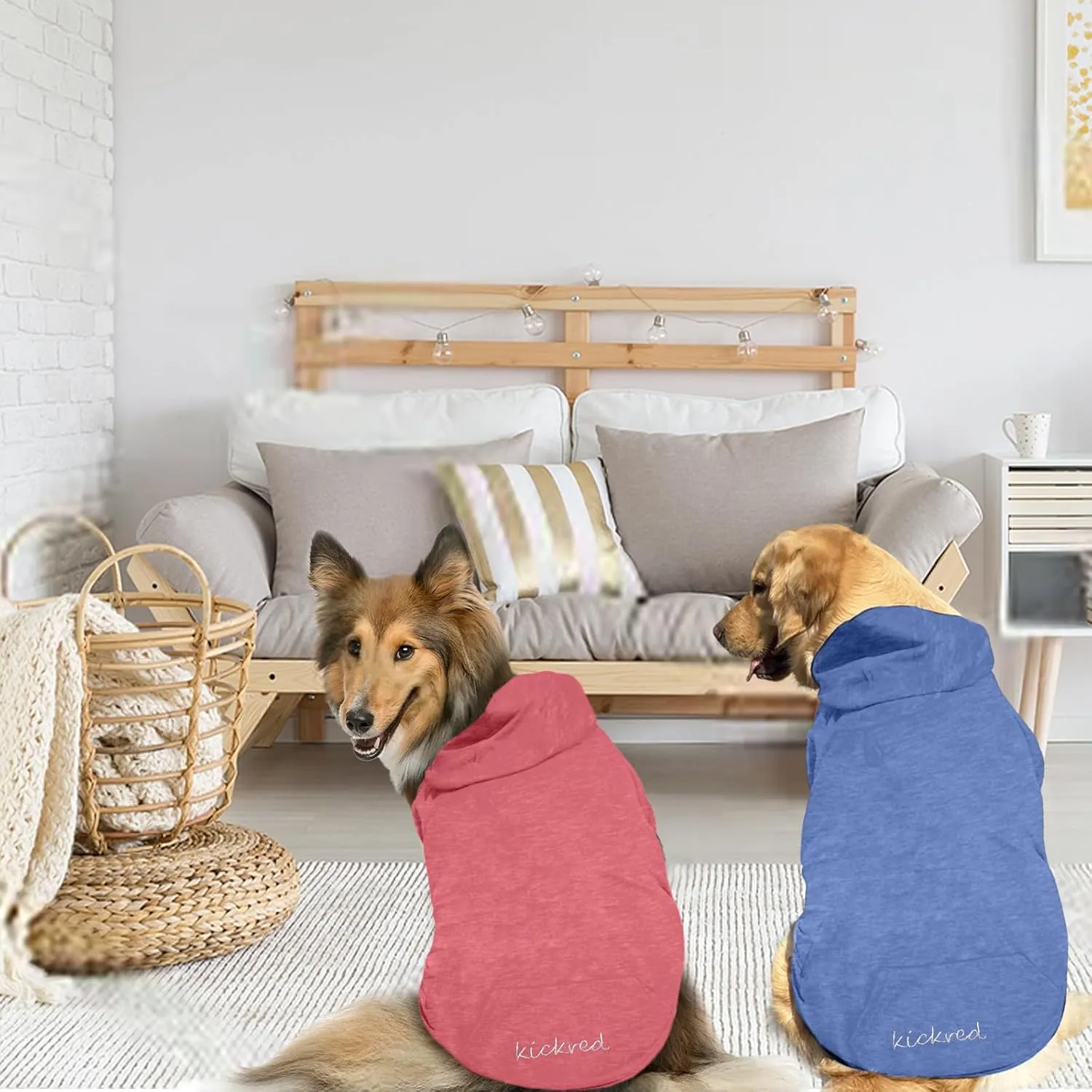 2 Pieces Basic Cotton Dog Hoodie Sweater, Soft Pet Clothes Dog Sweatshirts, Dog Outfit Coat Pullover with Pocket and Leash Hole for Small Medium Large Dogs, Coral Red & Sailor Blue (Medium)