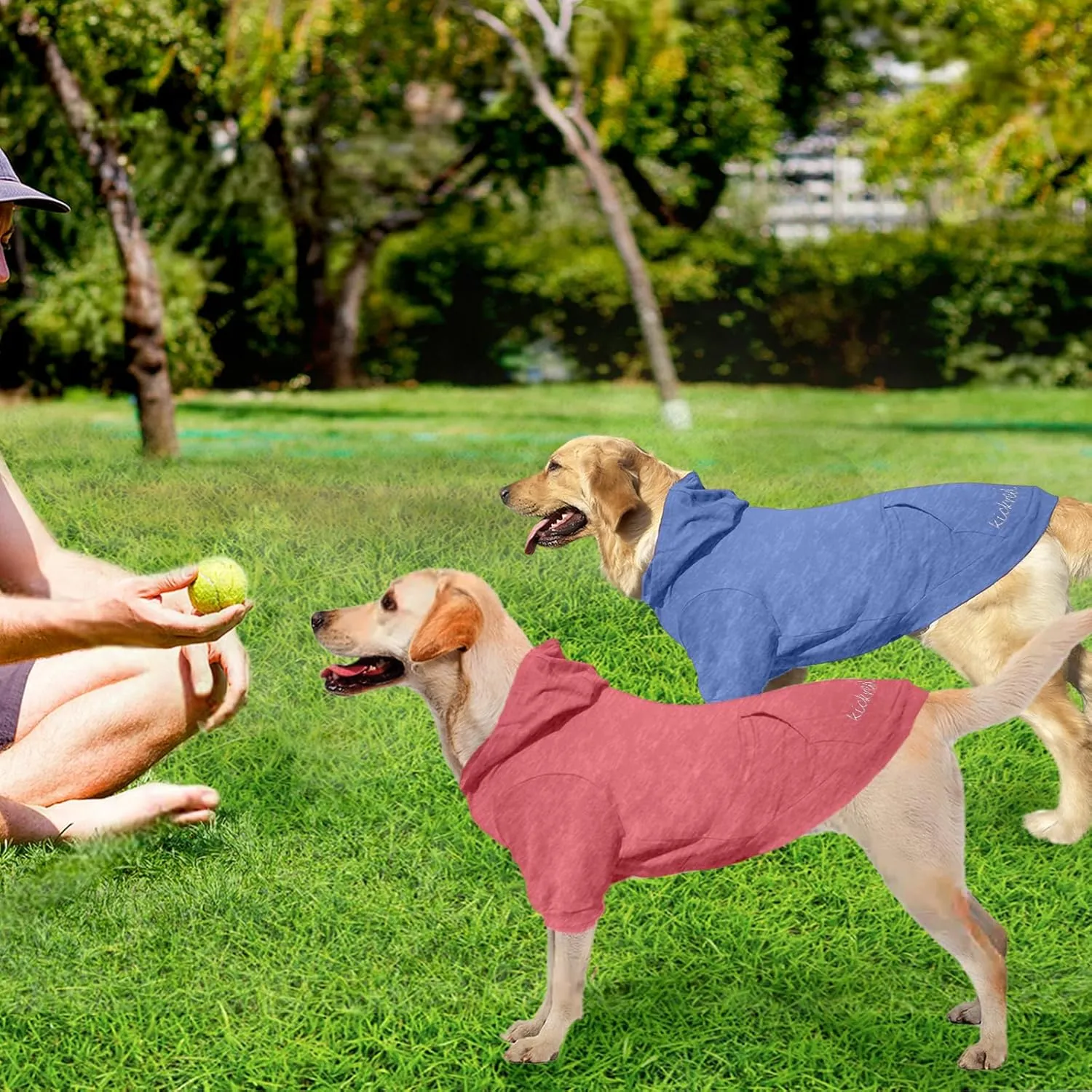 2 Pieces Basic Cotton Dog Hoodie Sweater, Soft Pet Clothes Dog Sweatshirts, Dog Outfit Coat Pullover with Pocket and Leash Hole for Small Medium Large Dogs, Coral Red & Sailor Blue (Medium)