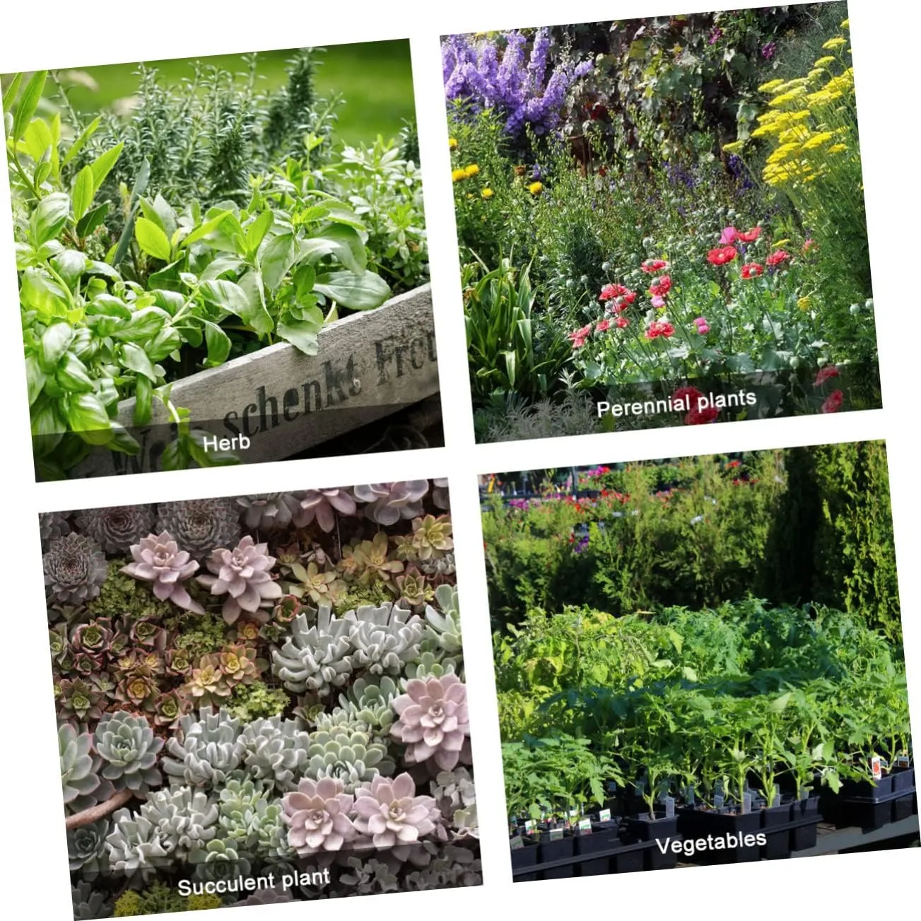 2pcs Grow Bag Growing Nursery Grow Pouch Plant Pots Outdoor Farm Nursery Bags Planting Bags Culture Fabric Outdoor Planter Raised Plant Bags Plants Home Planting Bag Green Felt