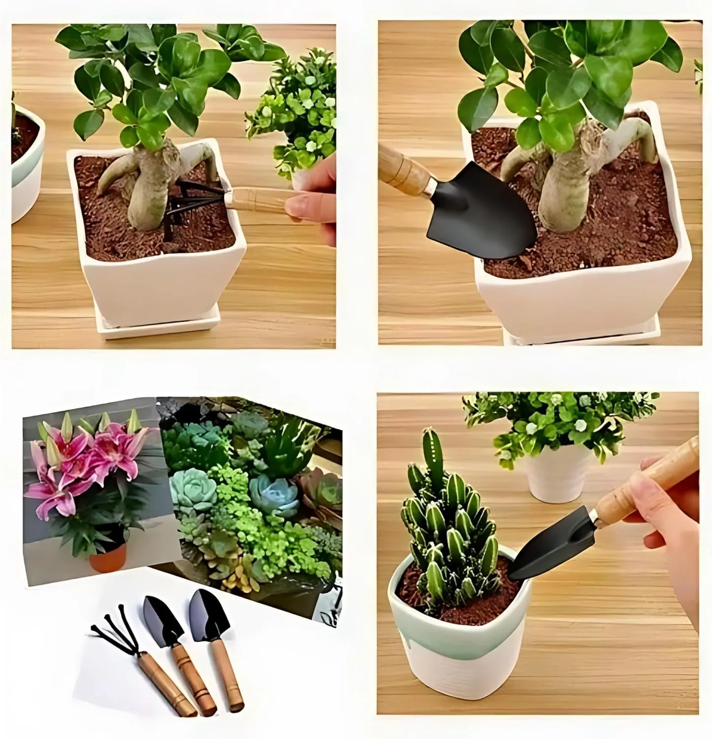 3-in-1 Garden Tool Set – Rustproof Stainless Steel with Handles
