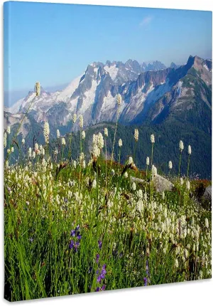 3dRose, Copper Ridge - North Cascades National Park, Museum Grade Canvas Wrap 11x14
