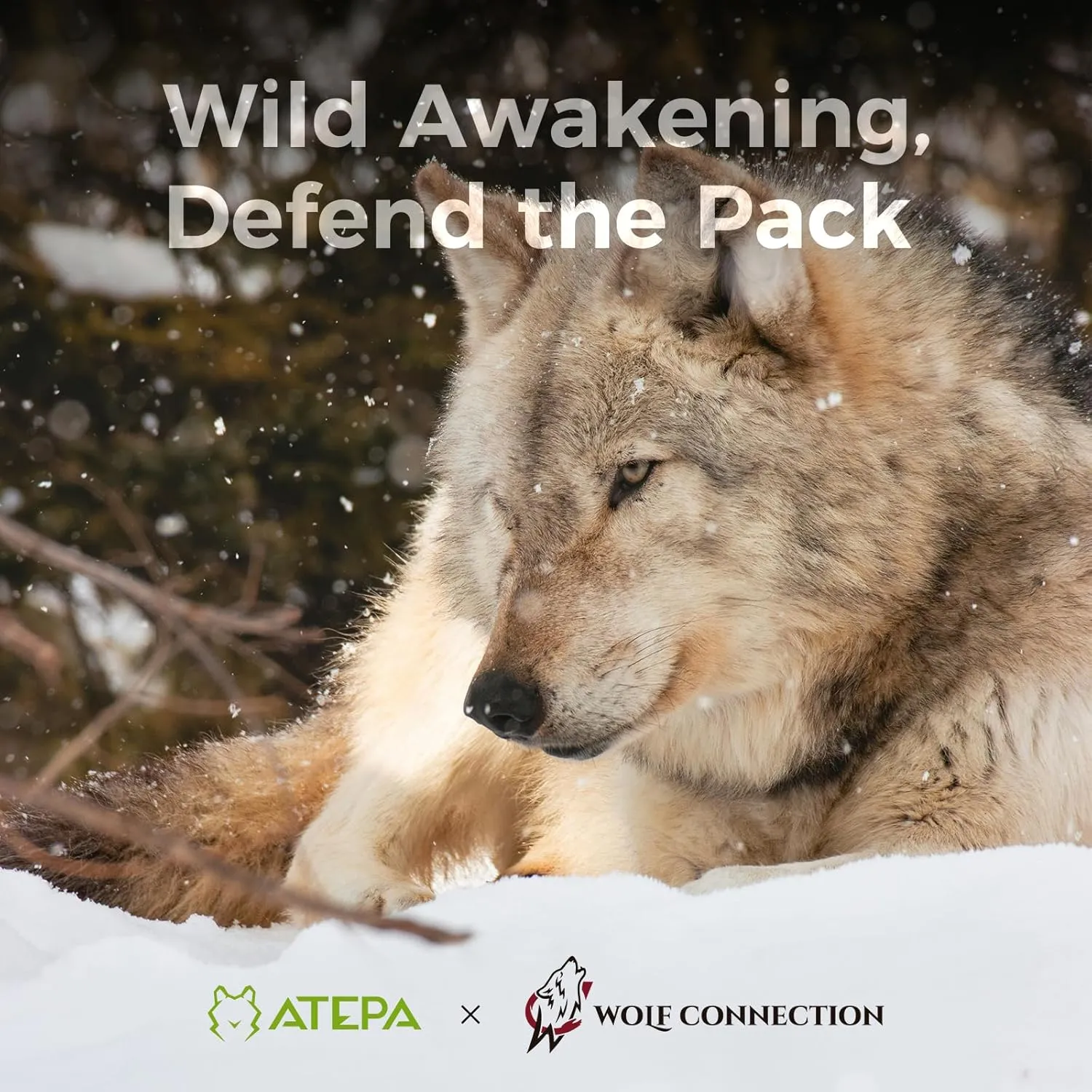 ATEPA Down Sleeping Bag, Recycled 650FP 0 Degree 40 Degree 4 Season Summer & Winter Compact Rectangle Lightweight Waterproof Wearable Sleeping Bag with Compression Sack for Camping Backpacking Hiking