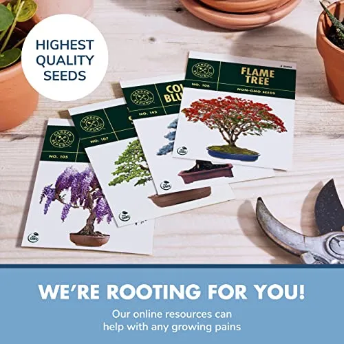 Bonsai Tree Seed Starter