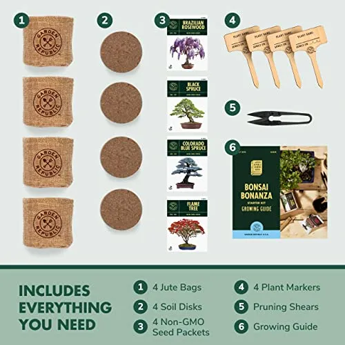Bonsai Tree Seed Starter