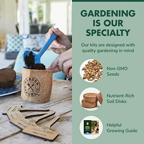 Bonsai Tree Seed Starter