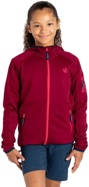 Dare 2b Unisex - Kids Dare 2b Kids Explore Mountain Active Fleece Explore Fleece for Kids, beetroot, 9 år