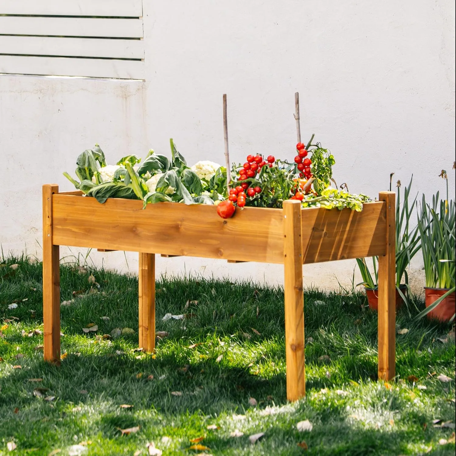 Elevated Wooden Raised Garden Bed – 49.5" L x 23.5" W x 30" H Large Fir Planter Box with Drainage Holes & Non-Woven Bag, FSC Wood for Outdoor & Indoor Gardening