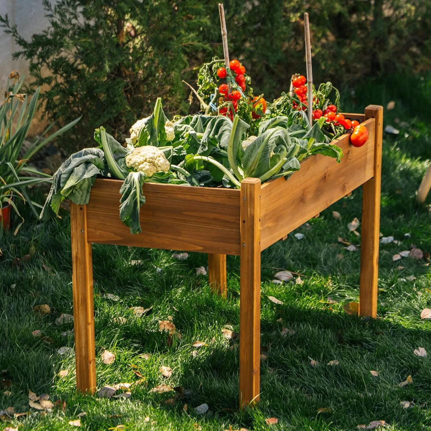 Elevated Wooden Raised Garden Bed – 49.5" L x 23.5" W x 30" H Large Fir Planter Box with Drainage Holes & Non-Woven Bag, FSC Wood for Outdoor & Indoor Gardening