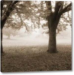 Eventide Park No Table by Dianne Poinski - 30" x 30" Canvas Art Print Gallery Wrapped - Ready to Hang