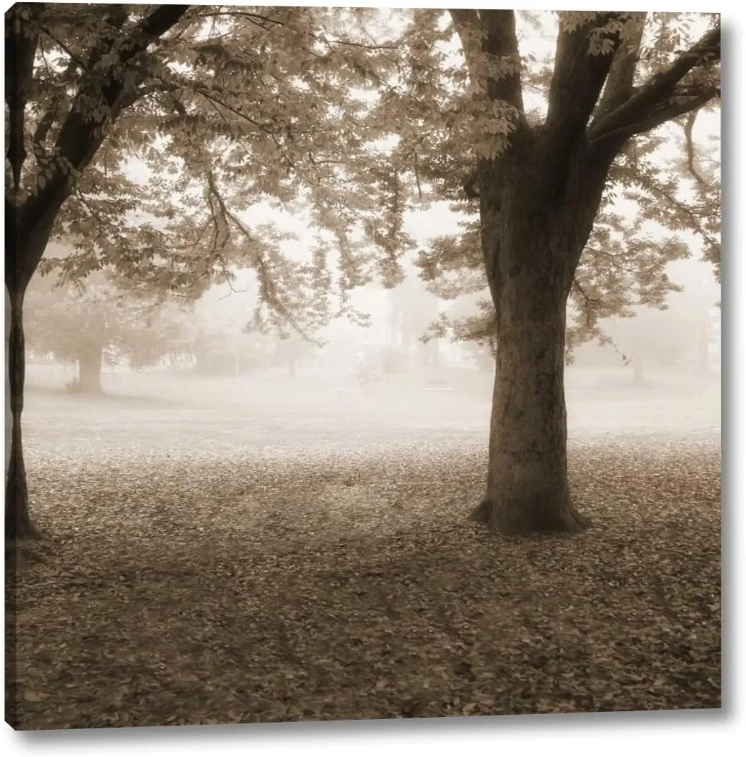 Eventide Park No Table by Dianne Poinski - 30" x 30" Canvas Art Print Gallery Wrapped - Ready to Hang
