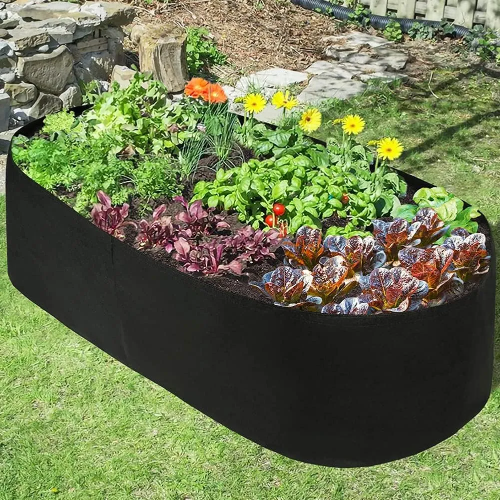 Fabric Raised Garden Bed, Raised Planters for Outdoor Plants, Rectangle Garden Grow Bag for Herb Flower and Vegetables, 2 ft X 4 ft
