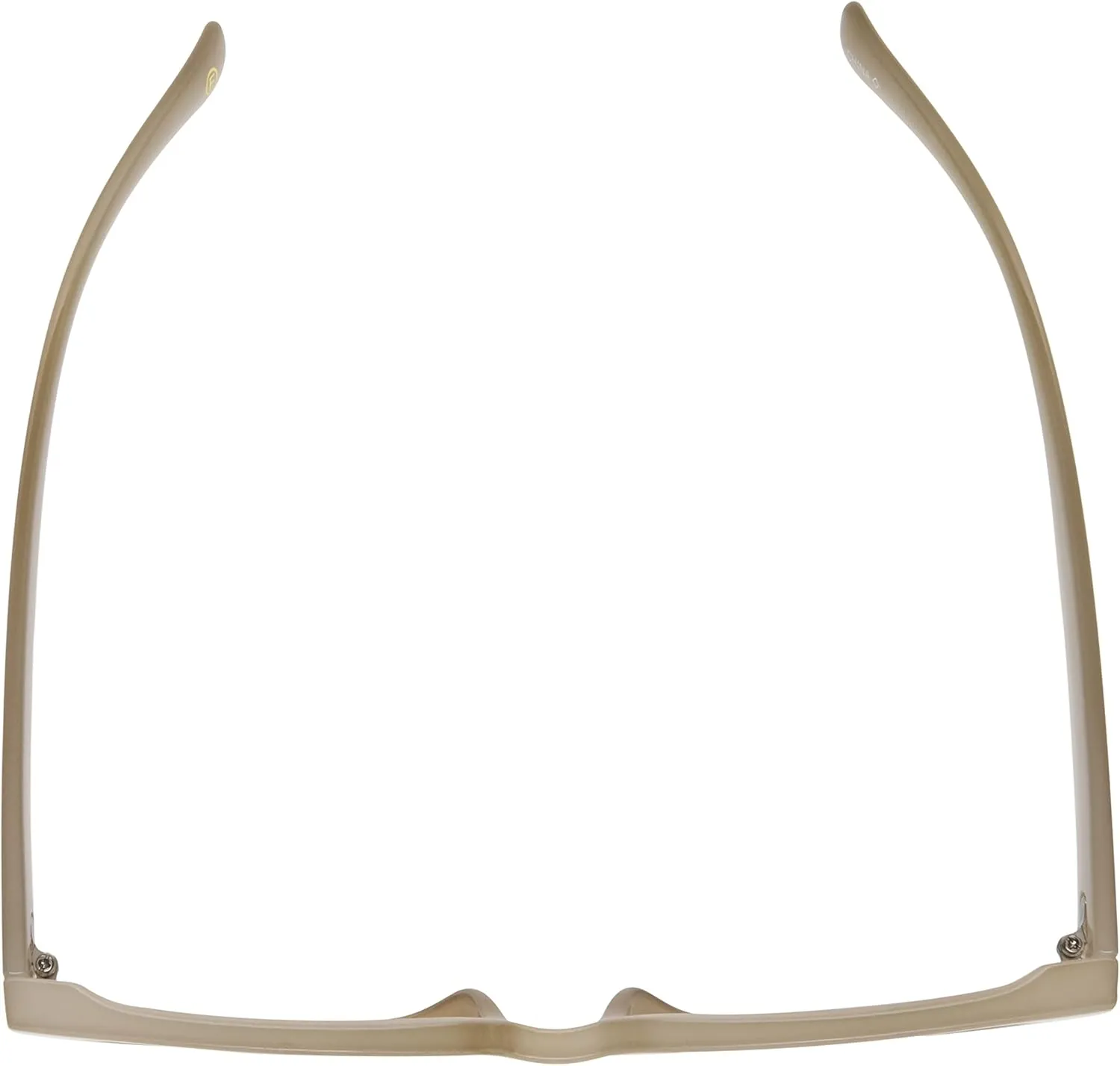 French Connection Women's Jolie Sunglasses Cat Eye