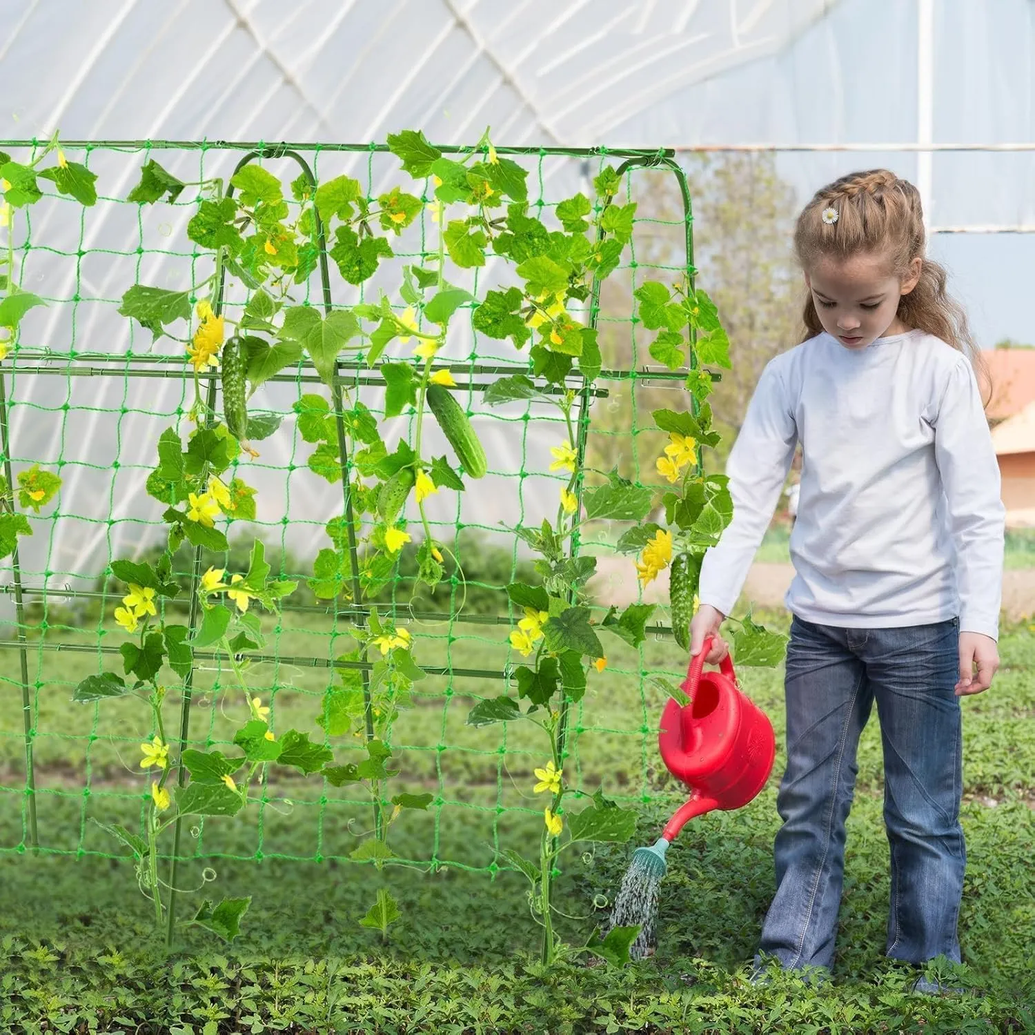 Garden Cucumber Trellis for Climbing Plants Outdoor, 48x48inch U-Shape Arch Trellis Support Grape Vine Tomato Vegetable Pea Bean Cucumber Trellis for Garden Raised Bed, Green