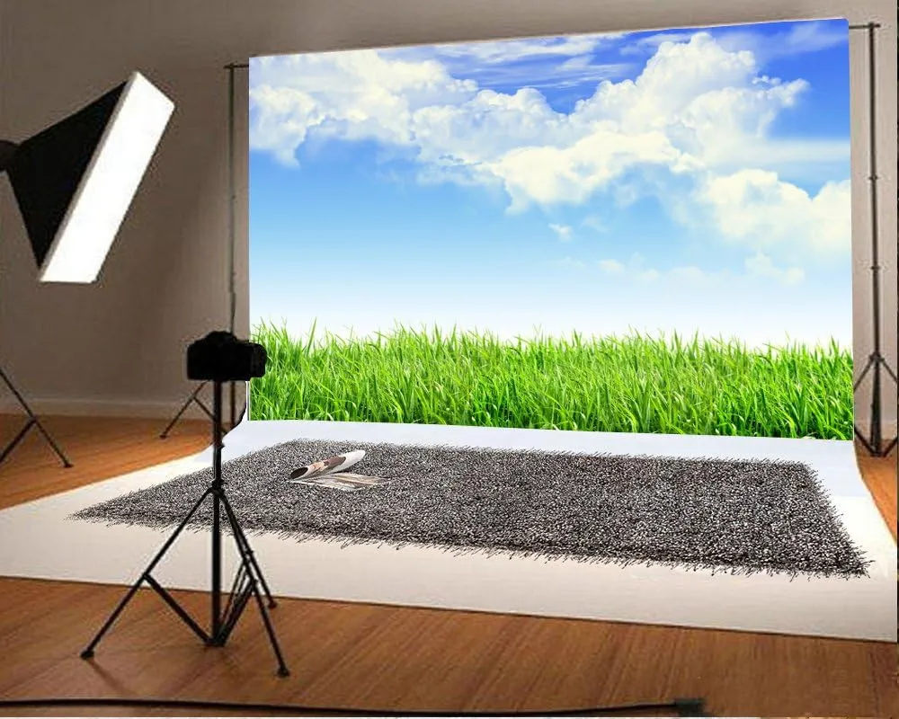 Leyiyi 10x7ft Spring Grassland Photography Background Gardening Plant Meadow Sky Cloud Light Spot North Prairie Backdrop Nature View Outdoor Activity Kids Birthday Photo Portrait Vinyl Studio Prop