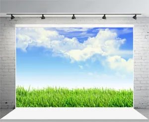 Leyiyi 10x7ft Spring Grassland Photography Background Gardening Plant Meadow Sky Cloud Light Spot North Prairie Backdrop Nature View Outdoor Activity Kids Birthday Photo Portrait Vinyl Studio Prop