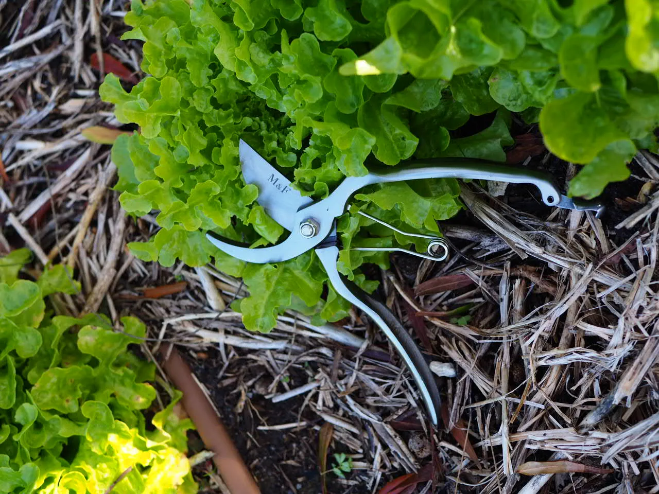 Outdoor Garden Gift Set ⎹ Garden Gloves, Secateurs, Apron ⎹ Large Gift Box