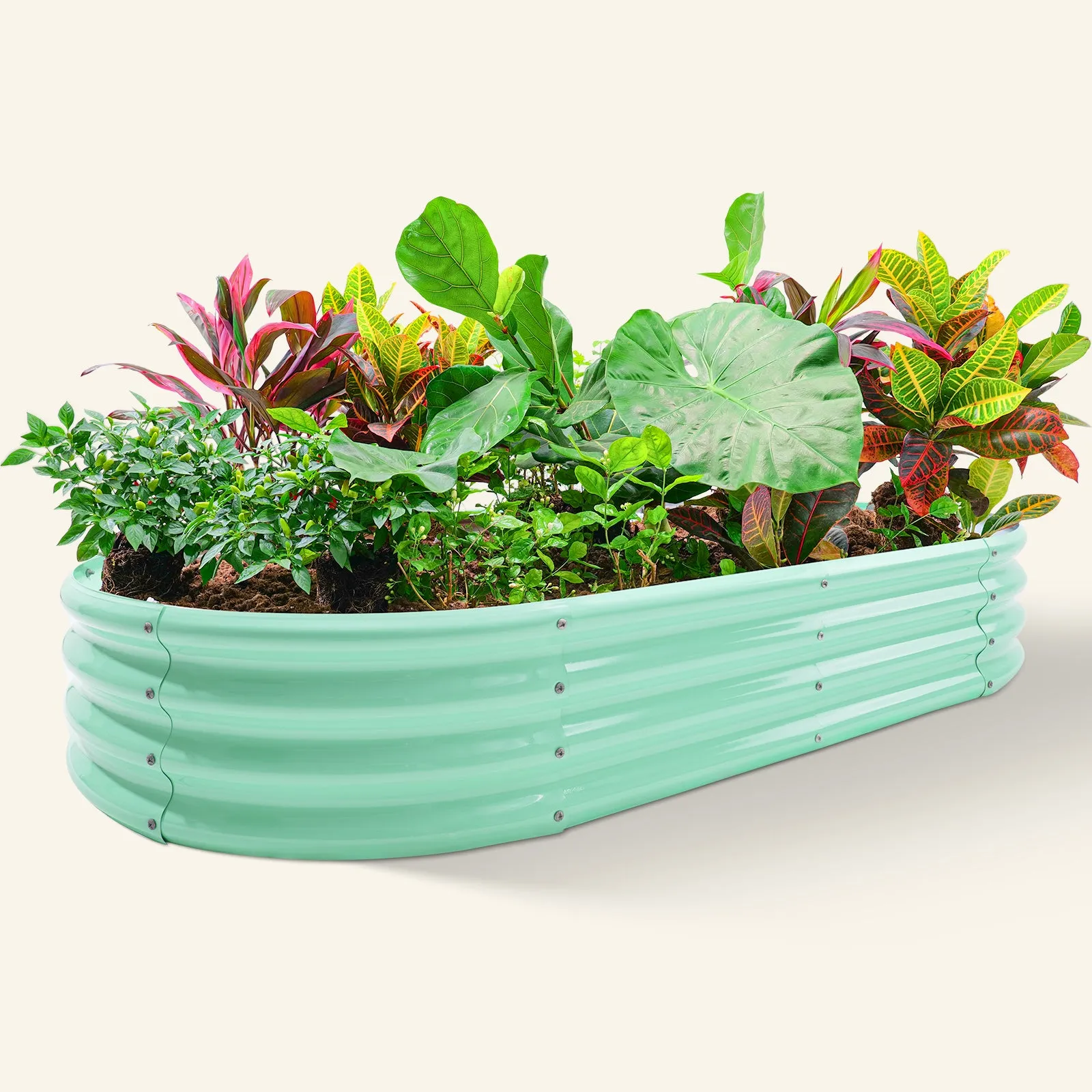 Oval 8x4x1ft Galvanized Raised Garden Bed