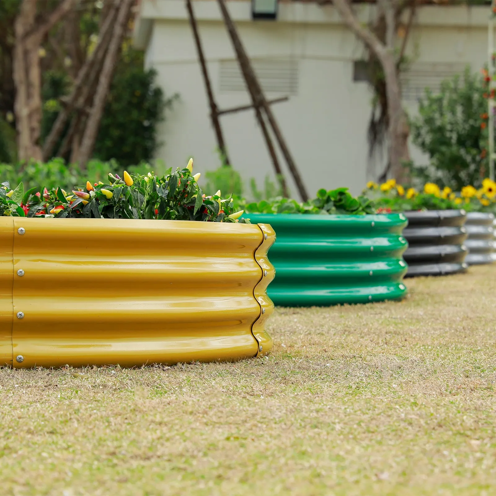 Oval 8x4x1ft Galvanized Raised Garden Bed