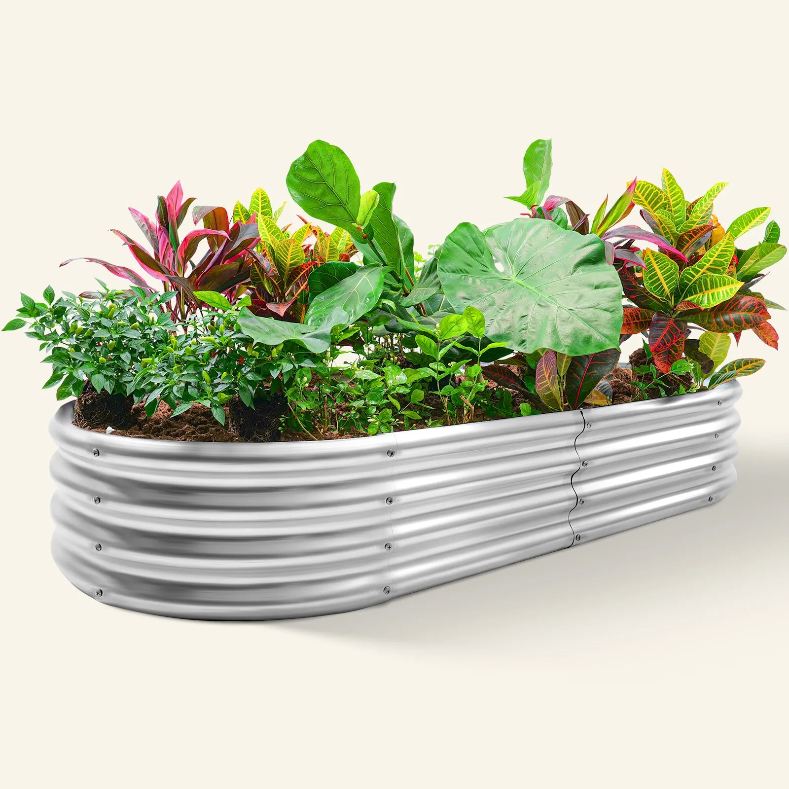 Oval 8x4x1ft Galvanized Raised Garden Bed