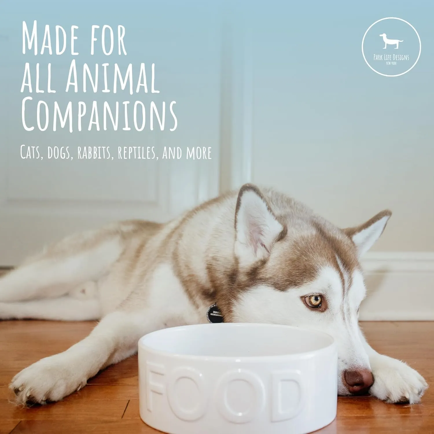 Park Life Ceramic Pet Bowls – Food Water Bowls for Dogs and Cats - Cute Pet Bowl for Small Medium and Large Size Dogs and Cats - Puppy Bowls (Large, White)