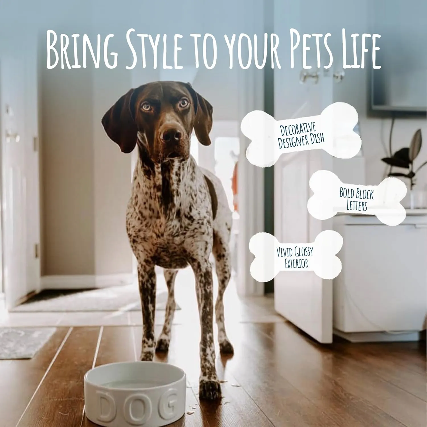 Park Life Ceramic Pet Bowls – Food Water Bowls for Dogs and Cats - Cute Pet Bowl for Small Medium and Large Size Dogs and Cats - Puppy Bowls (Large, White)