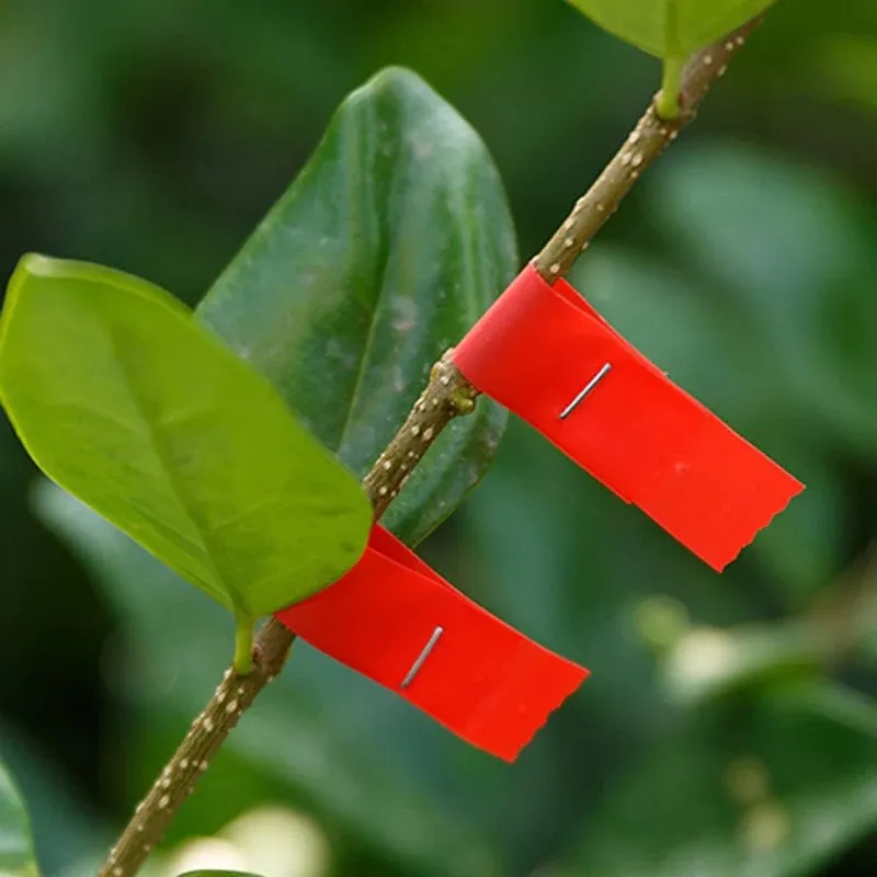 Plant Upright Tying Tool - Plant Tape Gun for Grapes, Raspberries, Tomatoes and Vining Vegetables Tying Machine