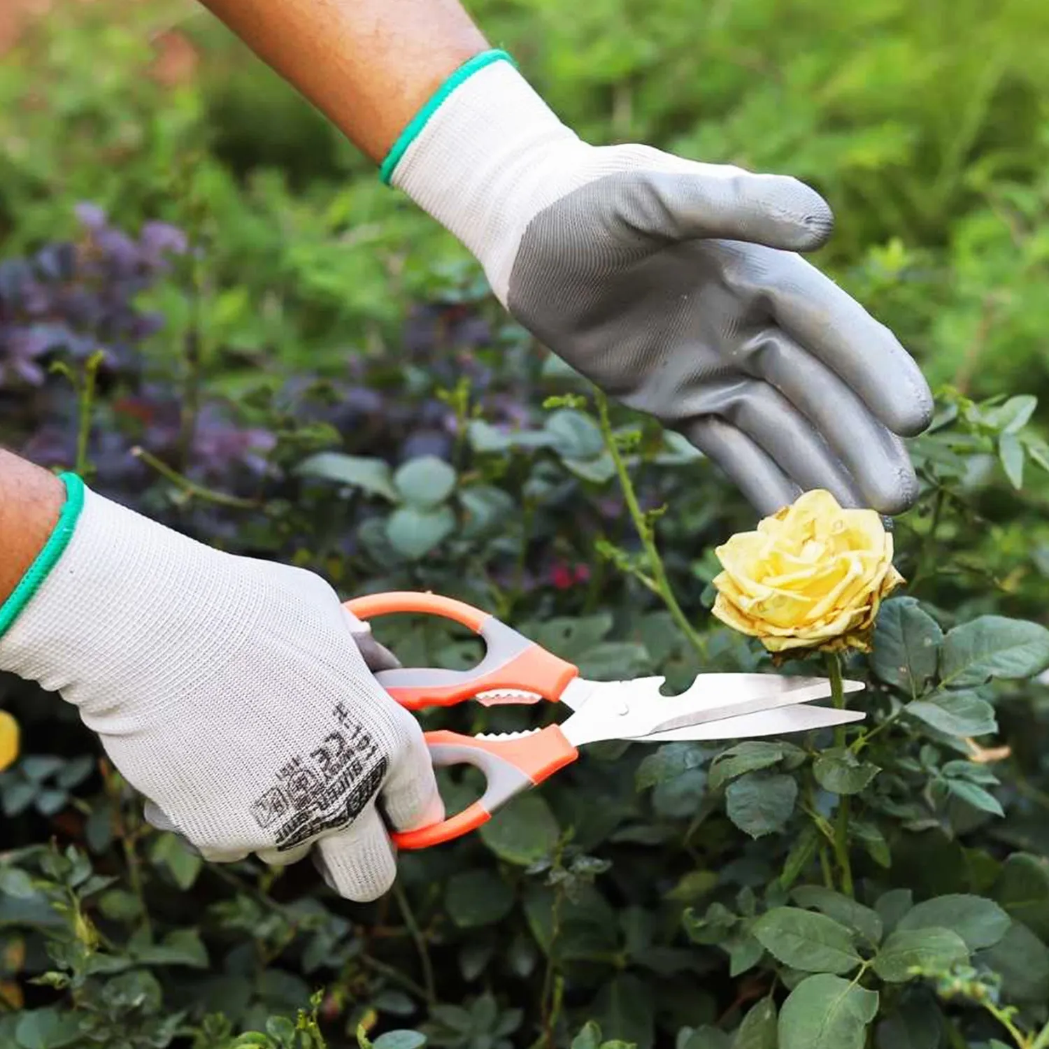 Premium Quality Gardening Scissors - Sharp Stainless Steel Blades