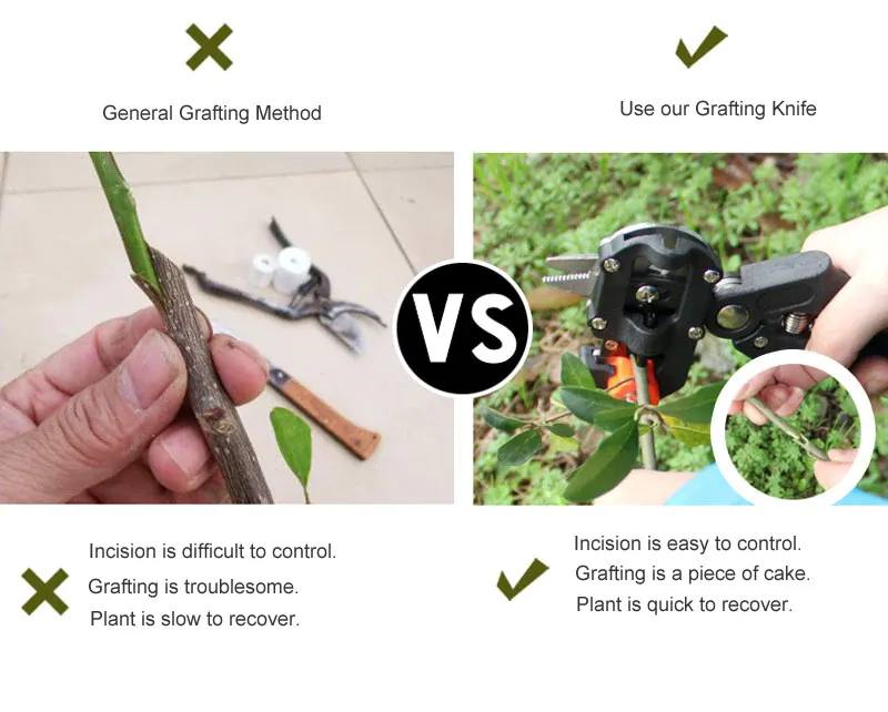 Professional Gardening Hand Pruning Shears