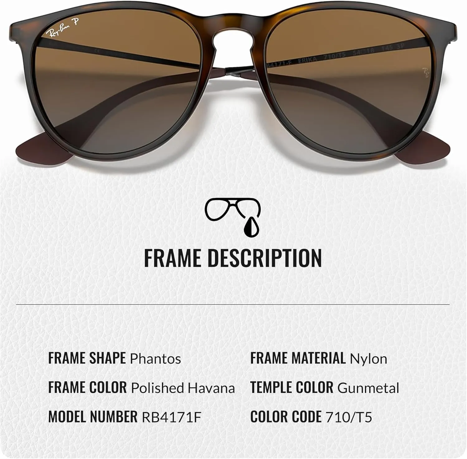 Ray-Ban RB4171 ERIKA Color Mix Phantos Shape Sunglasses With Eyewear Kit Bundle - High Bridge Fit - Retro Sunglasses