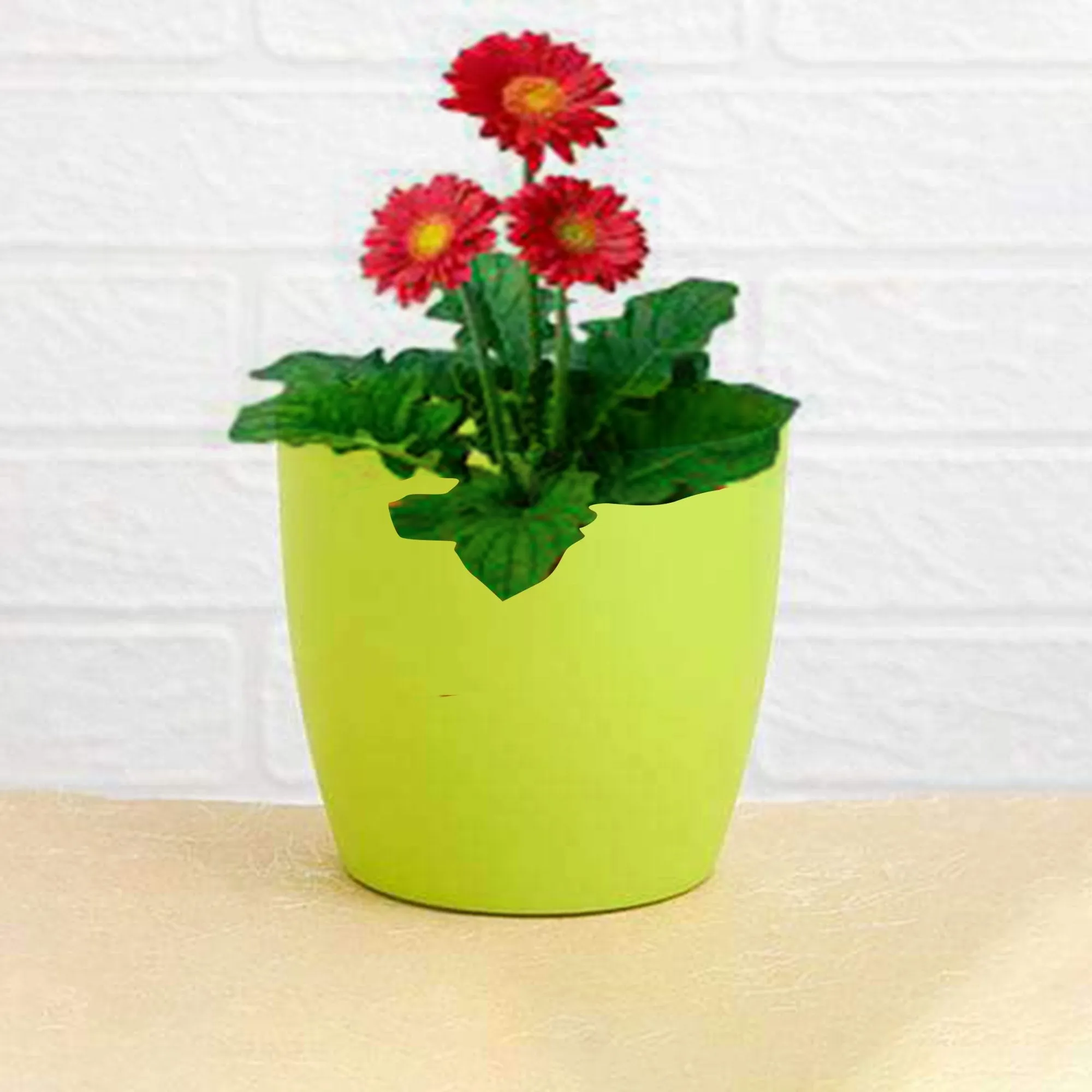 Round Flower Pots for Indoor & Outdoor Gardening