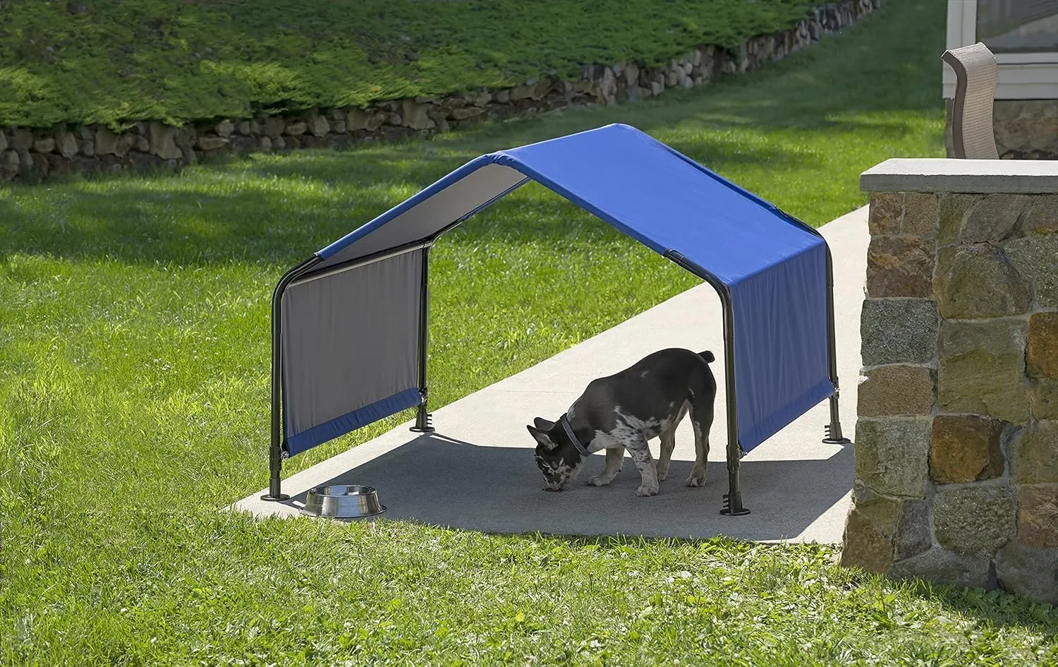 ShelterLogic 4' Outdoor Pet Shade, Versatile Pet Canopy Tent for Dogs, Cats, Small Animals and Livestock, Blue