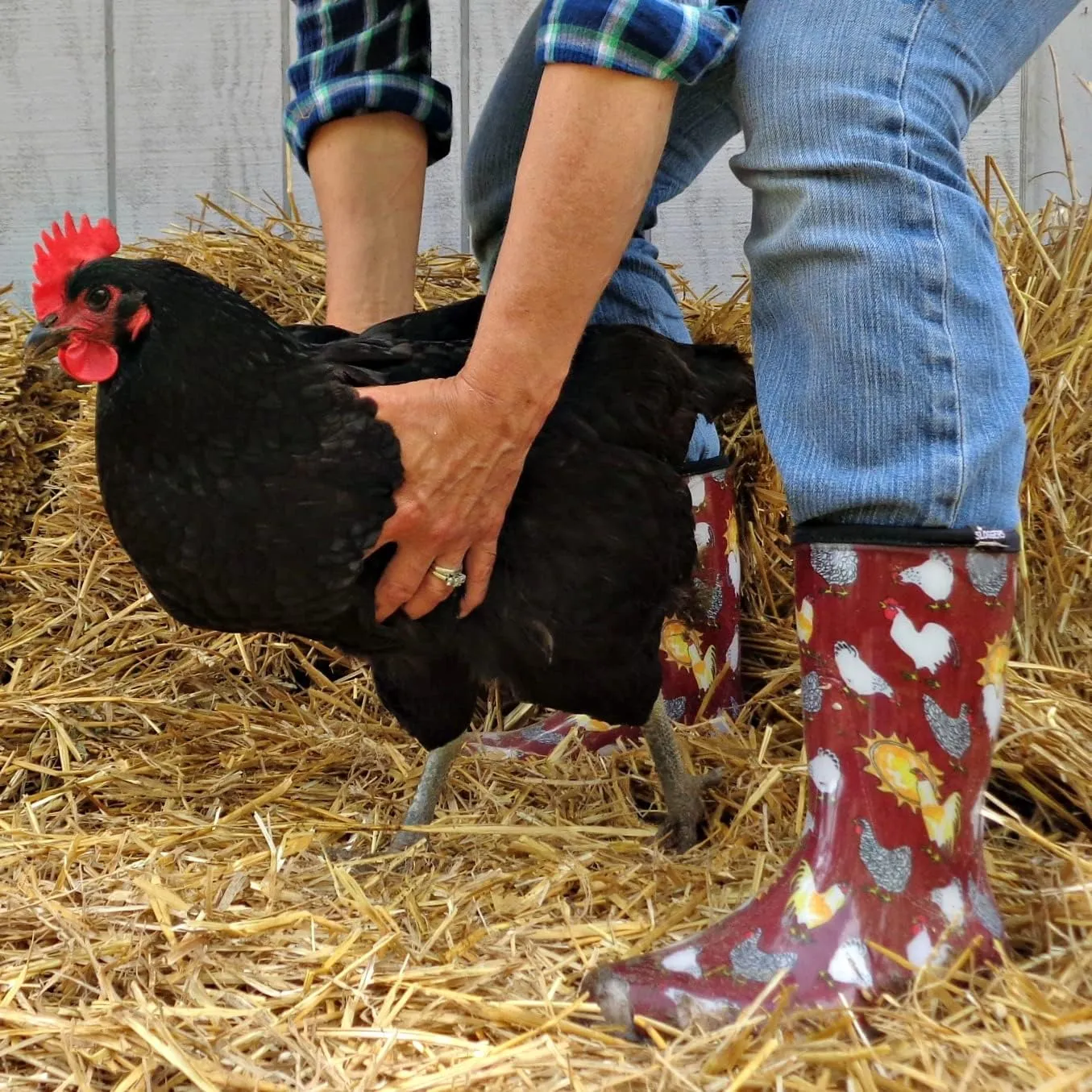 Sloggers Waterproof Garden Rain Boots for Women - Cute Mid-Calf Mud & Muck Boots with Premium Comfort Support Insole