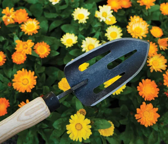 Slotted Hand Sieve Trowel