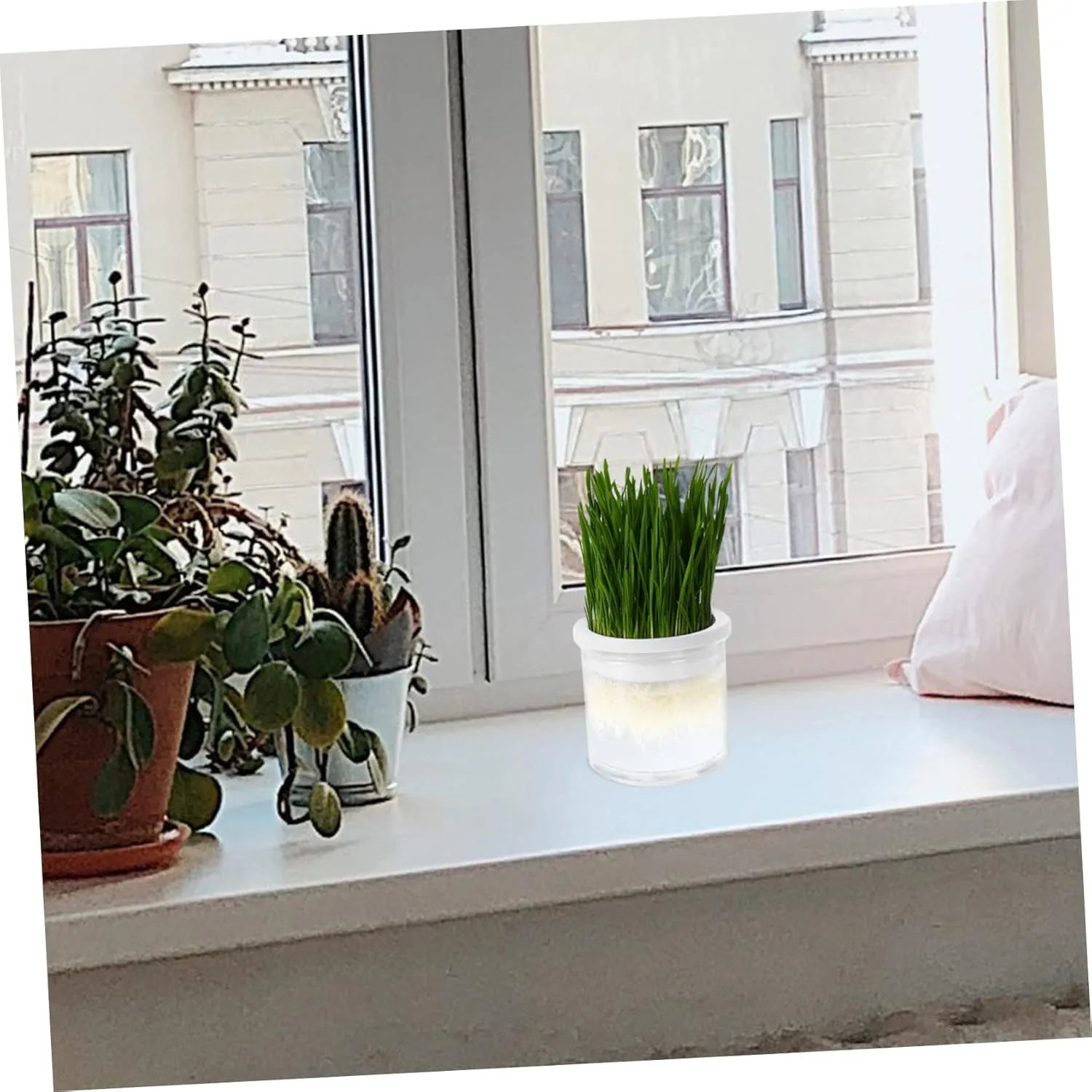 SUPVOX 4pcs Practical Cat Grass Planter Hydroponic Planting Box Large Sturdy and Easy to Use for Indoor Cats