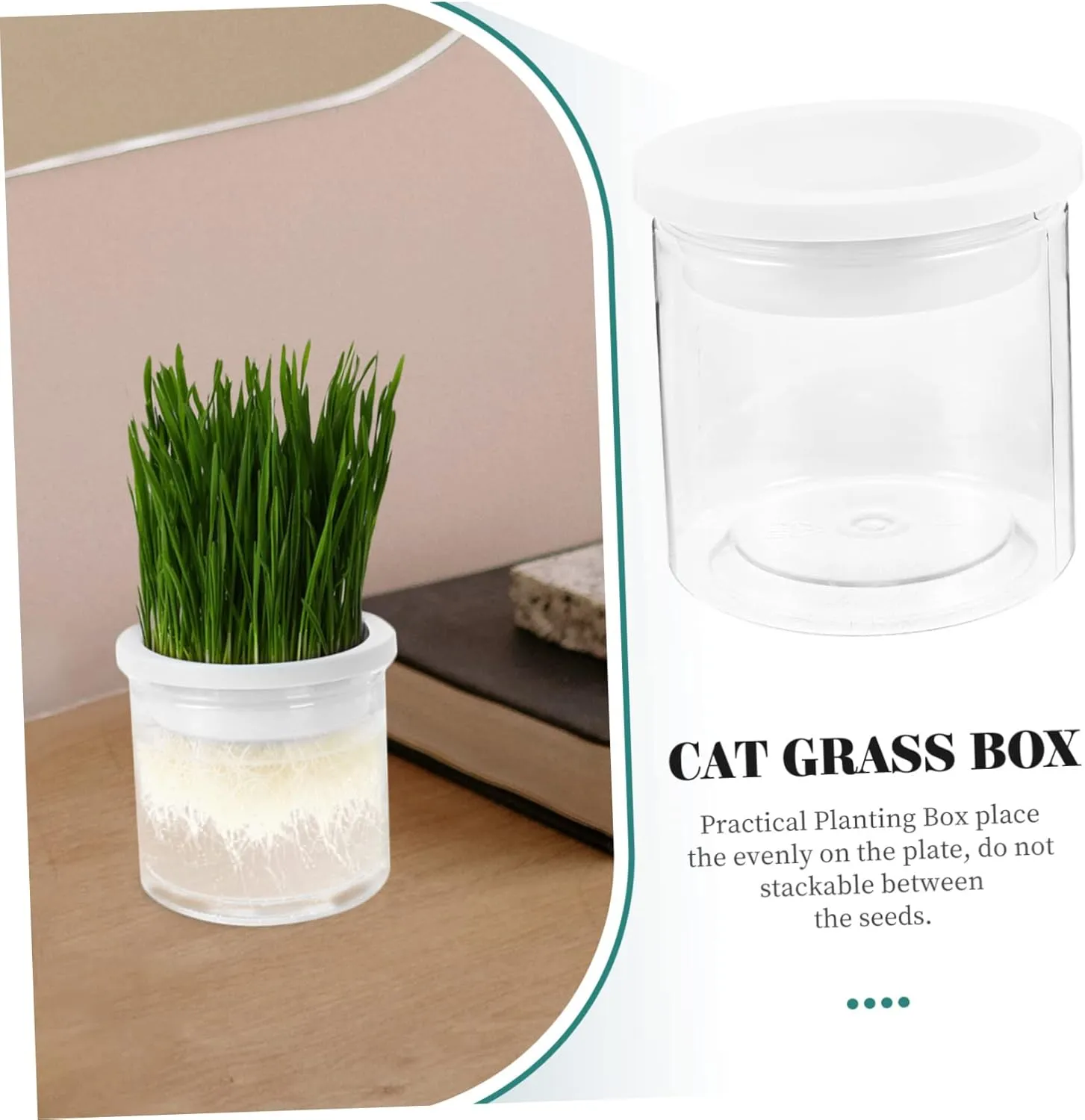 SUPVOX 4pcs Practical Cat Grass Planter Hydroponic Planting Box Large Sturdy and Easy to Use for Indoor Cats