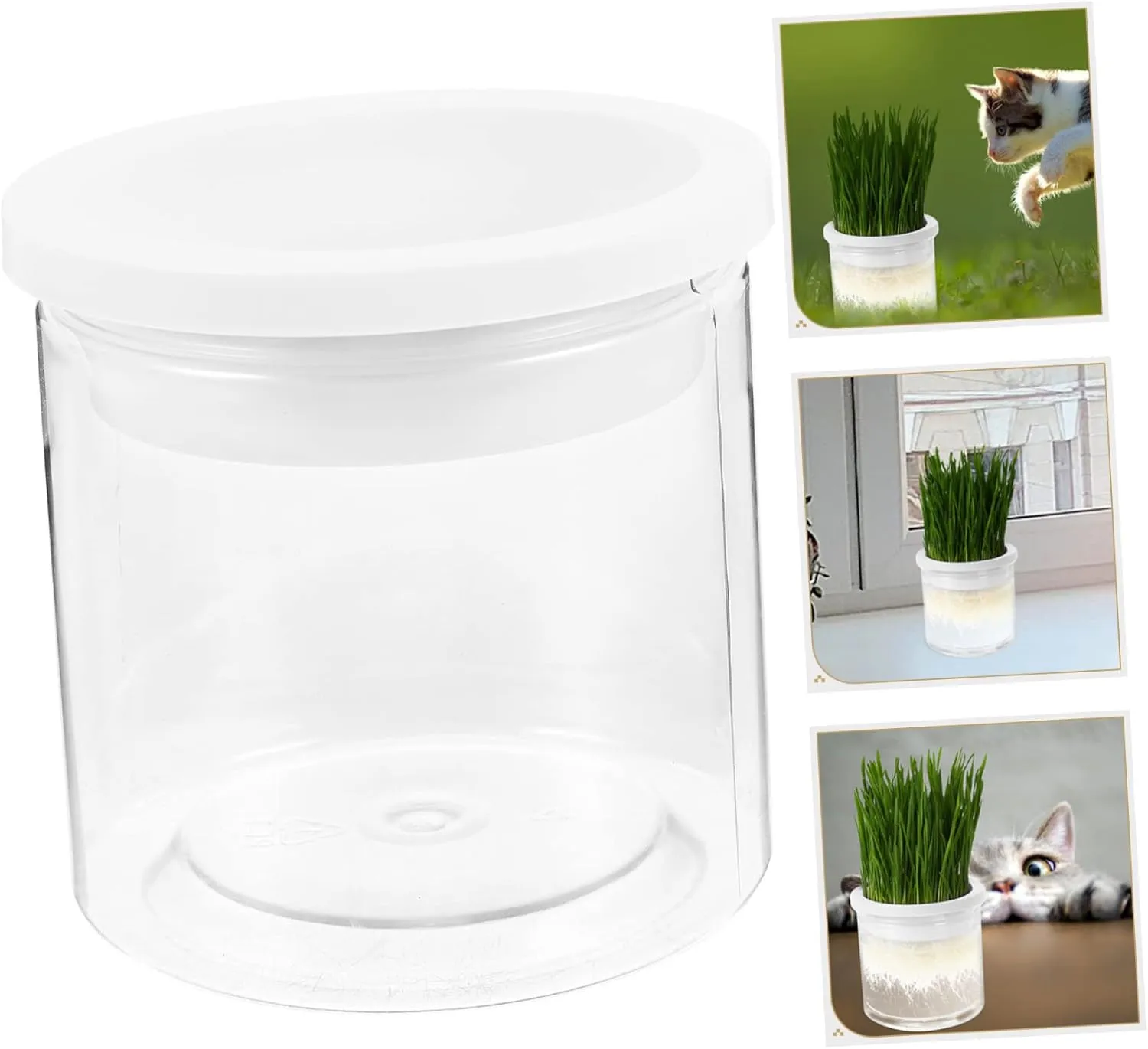 SUPVOX 4pcs Practical Cat Grass Planter Hydroponic Planting Box Large Sturdy and Easy to Use for Indoor Cats