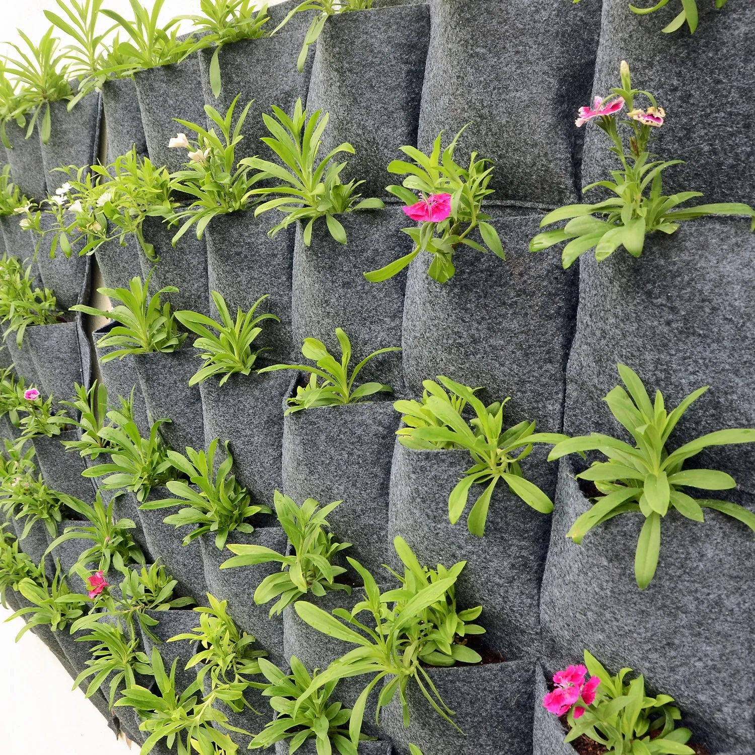 Wall-Mounted Grow Bags - 18 Pockets for Vertical Gardening (Indoor & Outdoor)